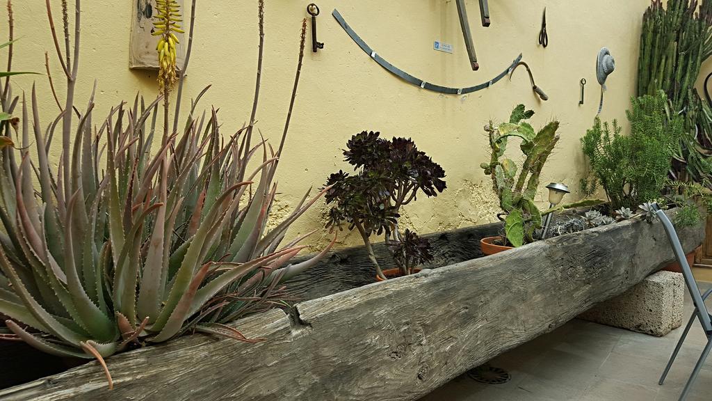 Casa Rural El Traspatio Granadilla De Abona Bagian luar foto